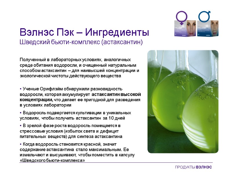 Вэлнэс Пэк – Ингредиенты Шведский бьюти-комплекс (астаксантин) Полученный в лабораторных условиях, аналогичных среде обитания